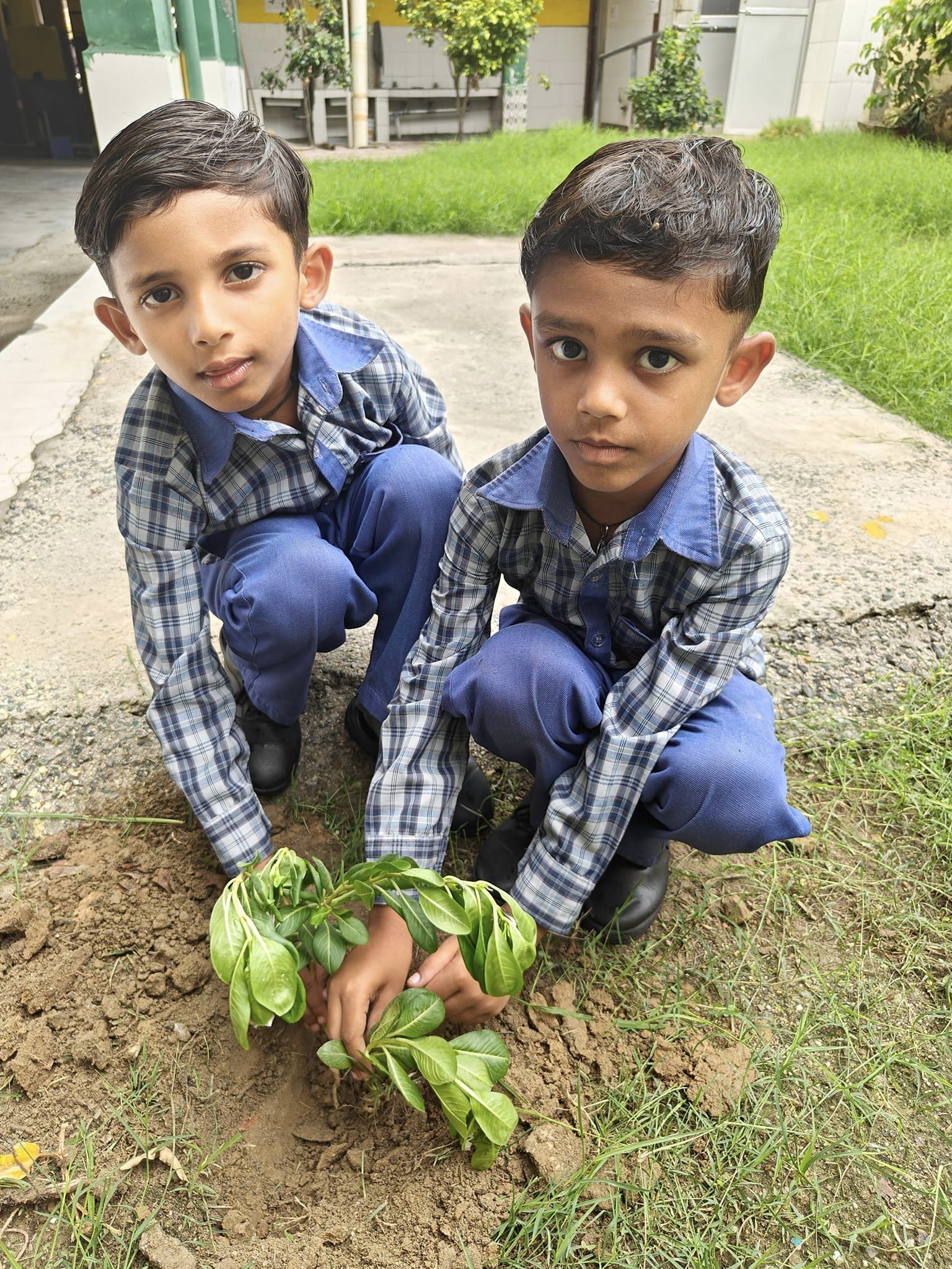 Herald Public School campus photo 11 of 30 — Narela