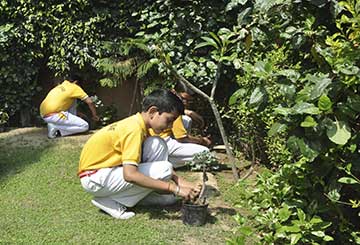 Cambridge Public School campus photo 3 of 14 — Sangam Vihar