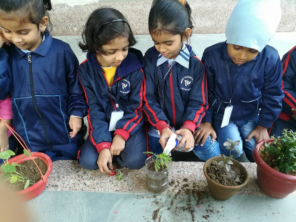 Indian Convent School campus photo 8 of 30 — Pitampura