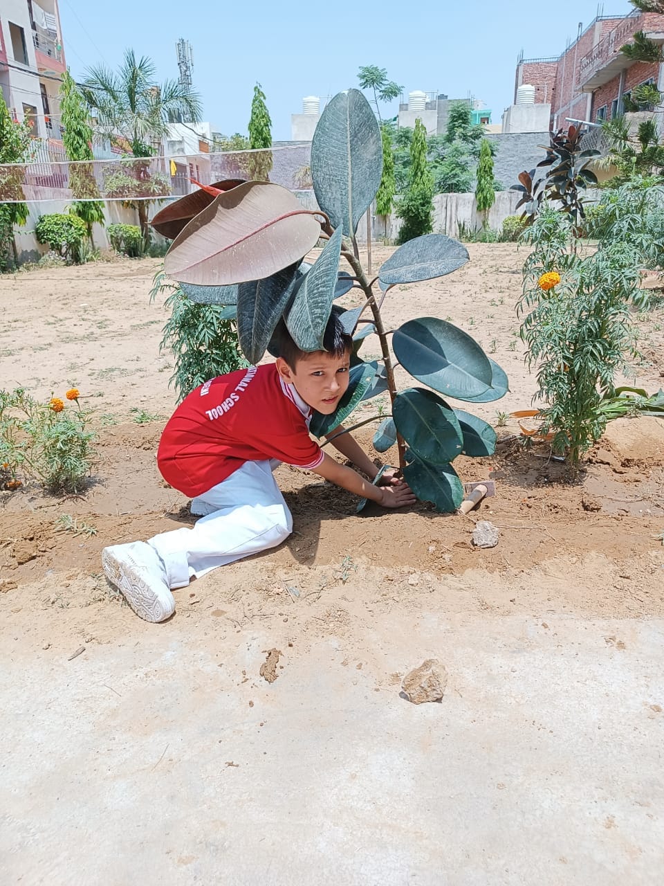 J.S. International School campus photo 3 of 30 — Kirari Suleman Nagar