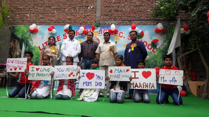 Little Star Public School campus photo 8 of 9 — Karawal Nagar