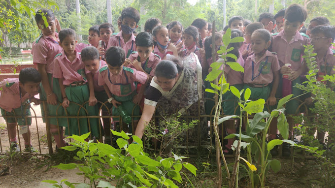 Mahavira International School campus photo 7 of 17 — Tri Nagar