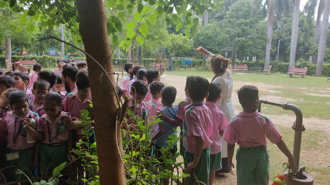 Mahavira International School campus photo 8 of 17 — Tri Nagar