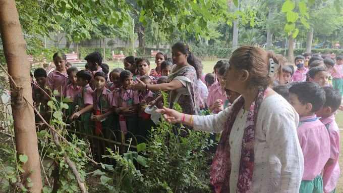Mahavira International School campus photo 11 of 17 — Tri Nagar