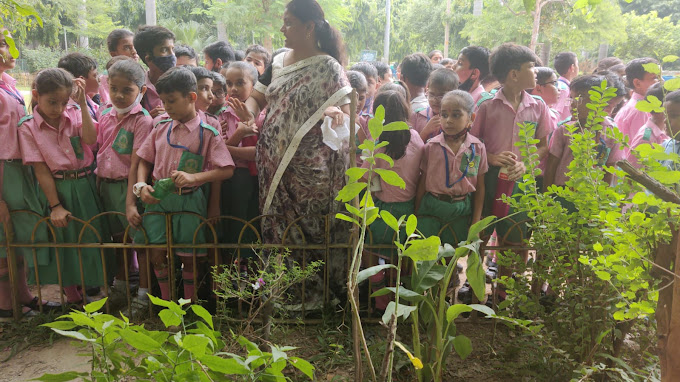 Mahavira International School campus photo 4 of 17 — Tri Nagar