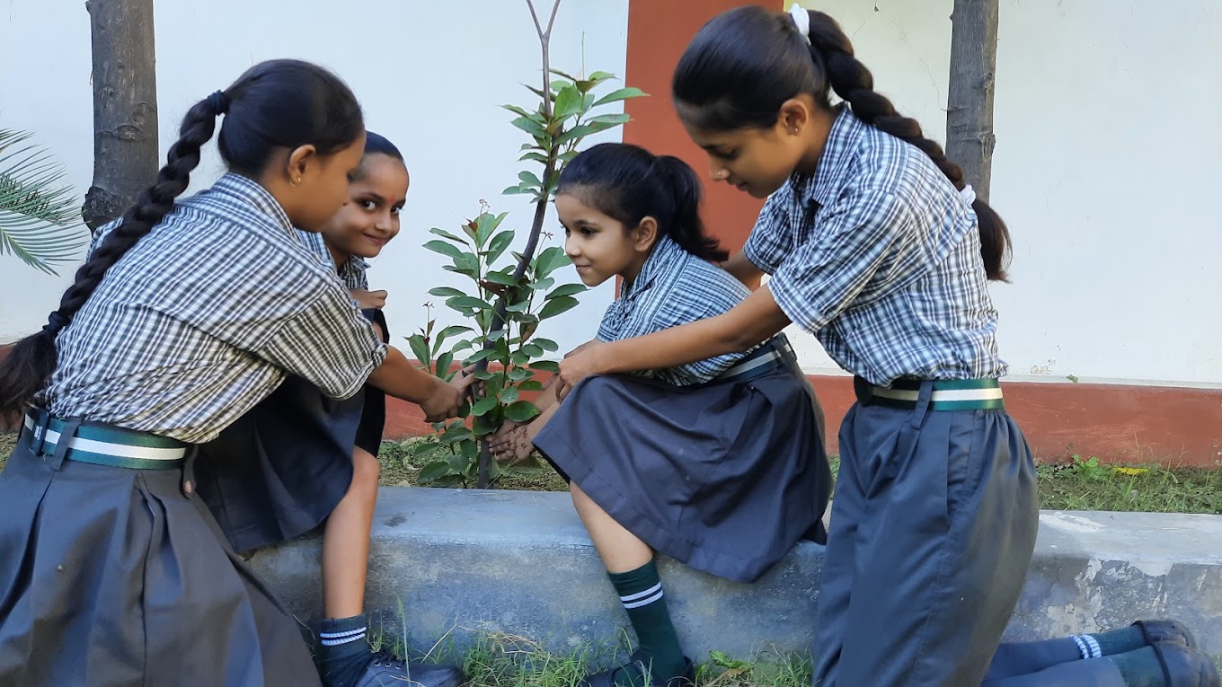 Mansa Vidya Peeth campus photo 11 of 22 — Narela