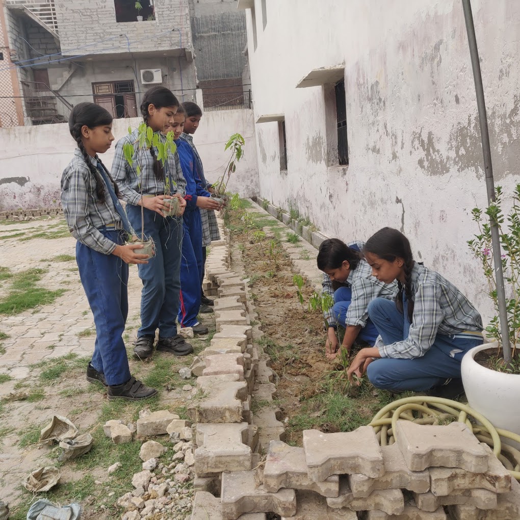 Meer Public School campus photo 6 of 9 — MadanPur Dabas