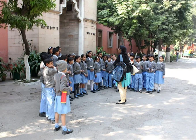 National Public School campus photo 3 of 5 — Jhilmil colony