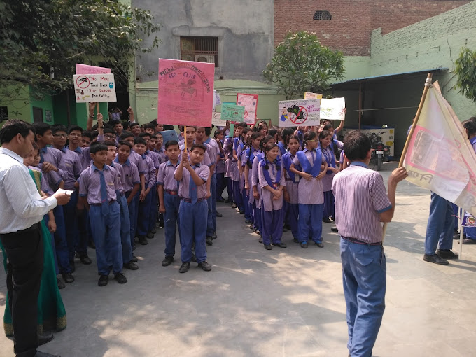 New Sandhya Public Secondary School campus photo 19 of 20 — New Mustafabad