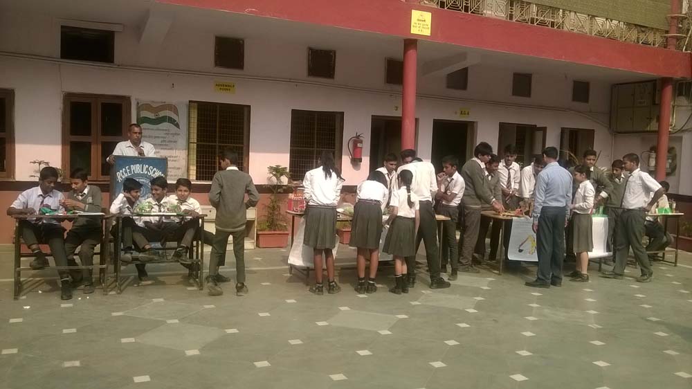 RCCE Public School campus photo 23 of 24 — Mehrauli