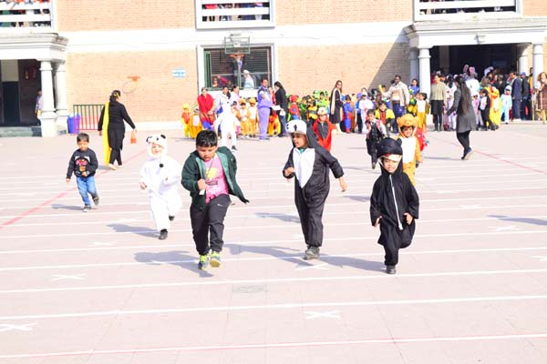 J.D. Tytler School campus photo 24 of 30 — Rajinder Nagar
