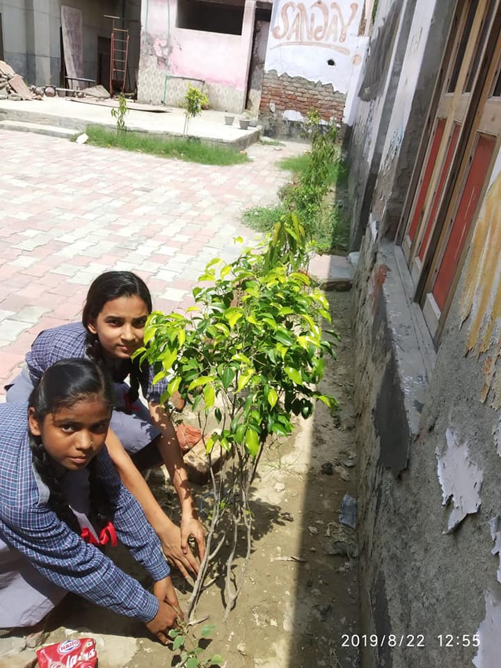 Sanjay Model Public School campus photo 5 of 30 — Kirari Suleman Nagar