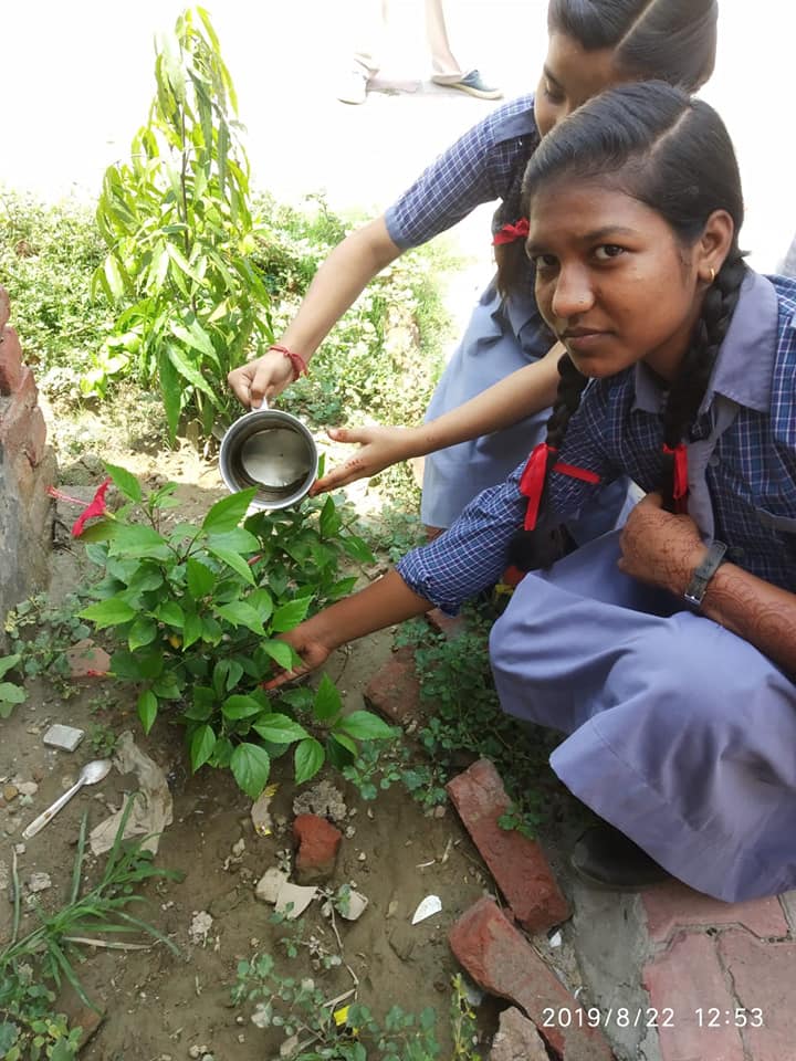 Sanjay Model Public School campus photo 4 of 30 — Kirari Suleman Nagar