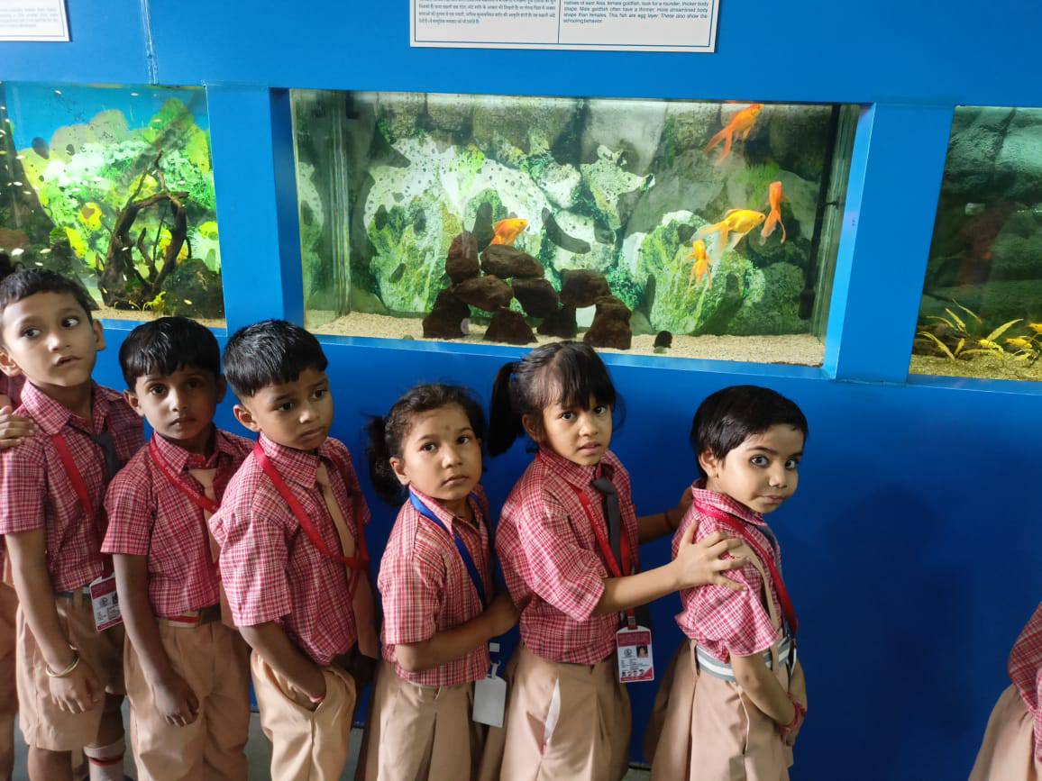 Sanjay Model Public School campus photo 11 of 30 — Kirari Suleman Nagar