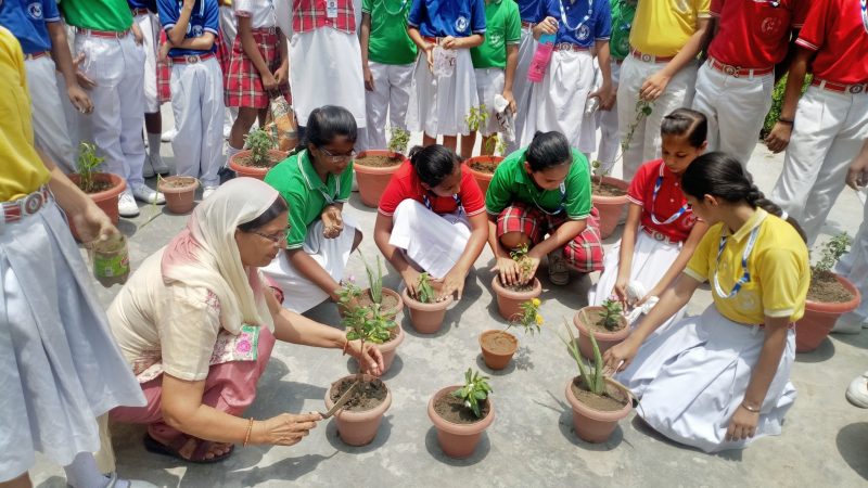 Savanu International School campus photo 11 of 15 — Jindpur