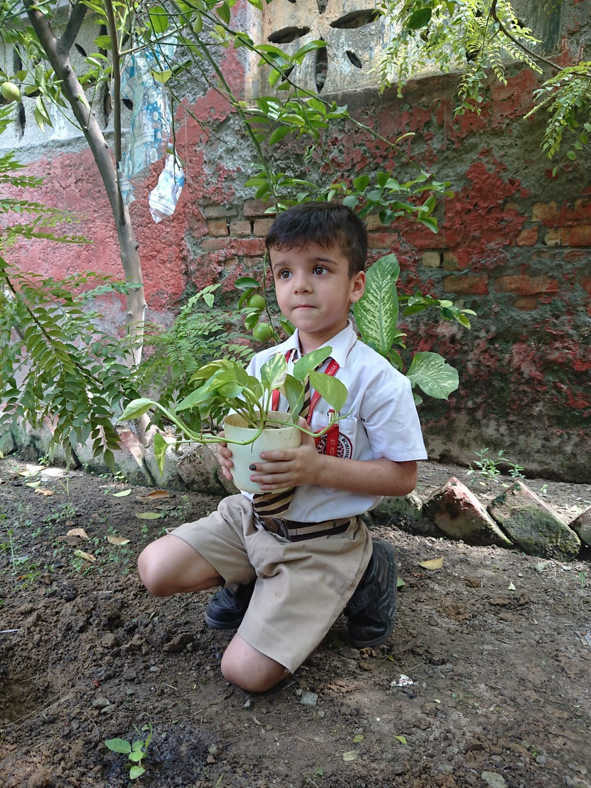 St. Rose Public School campus photo 4 of 30 — Nangloi