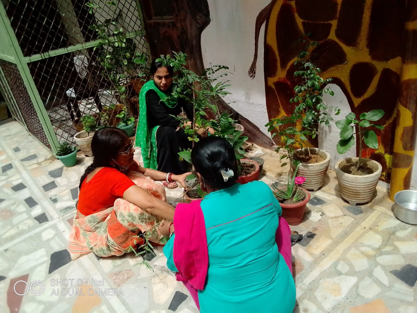 Sunny Convent School campus photo 3 of 7 — Rohini