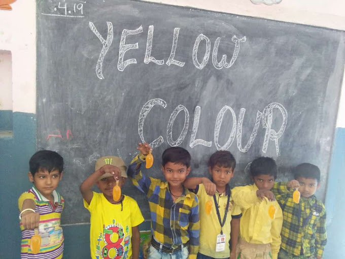 Vijay Vidya Niketan Public School campus photo 4 of 8 — Hastsal
