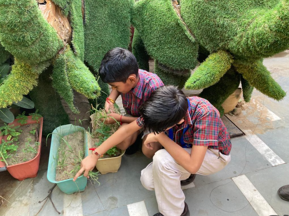 DAV Public School campus photo 28 of 30 — Paschim Vihar