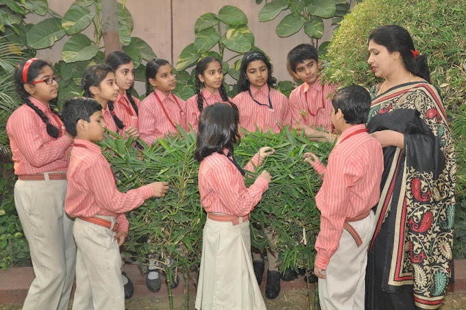 Vishal Bharti Public School campus photo 27 of 30 — Paschim Vihar