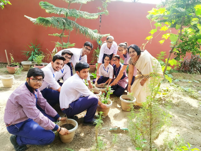 Indira Ideal Senior Secondary School campus photo 22 of 24 — Janakpuri