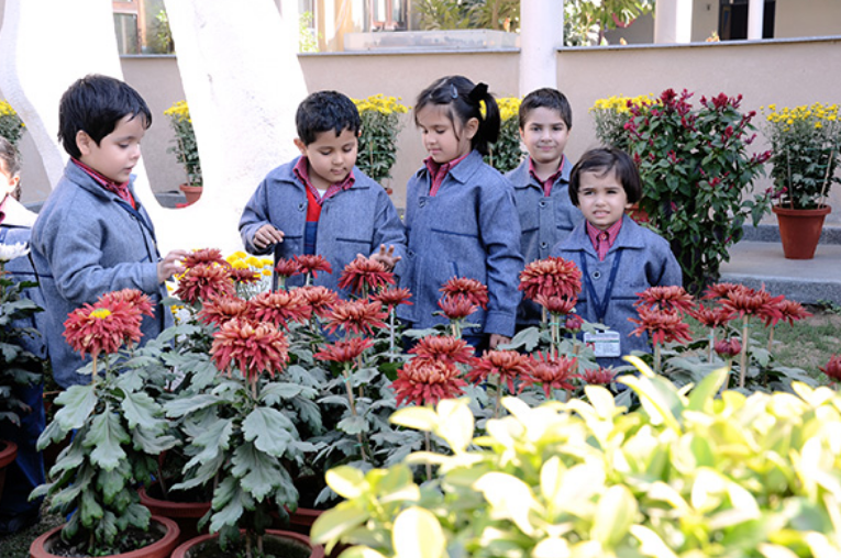 Shah International School campus photo 10 of 15 — Paschim Vihar