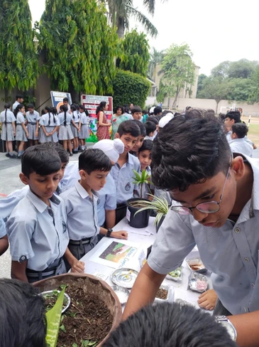 Shadley Public School campus photo 4 of 19 — Rajouri Garden