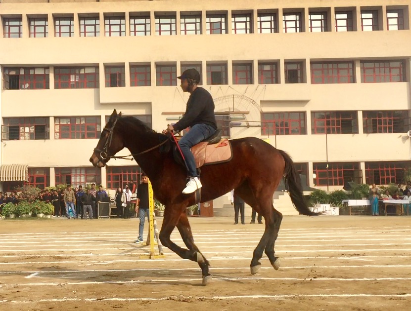 Shadley Public School campus photo 14 of 19 — Rajouri Garden
