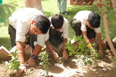 Neo Convent Senior Secondary School campus photo 12 of 15 — Paschim Vihar
