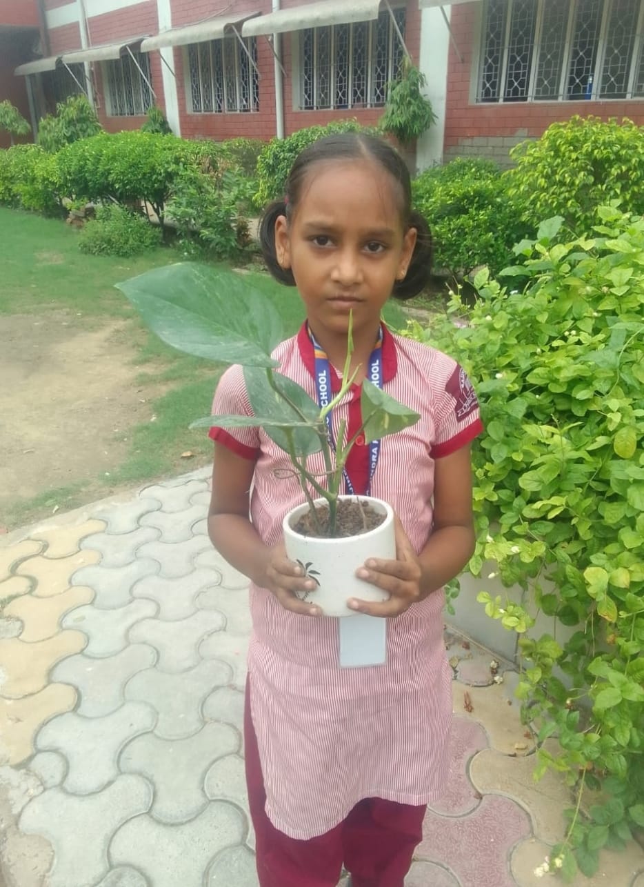 Rajindra Public School campus photo 17 of 30 — Nangloi