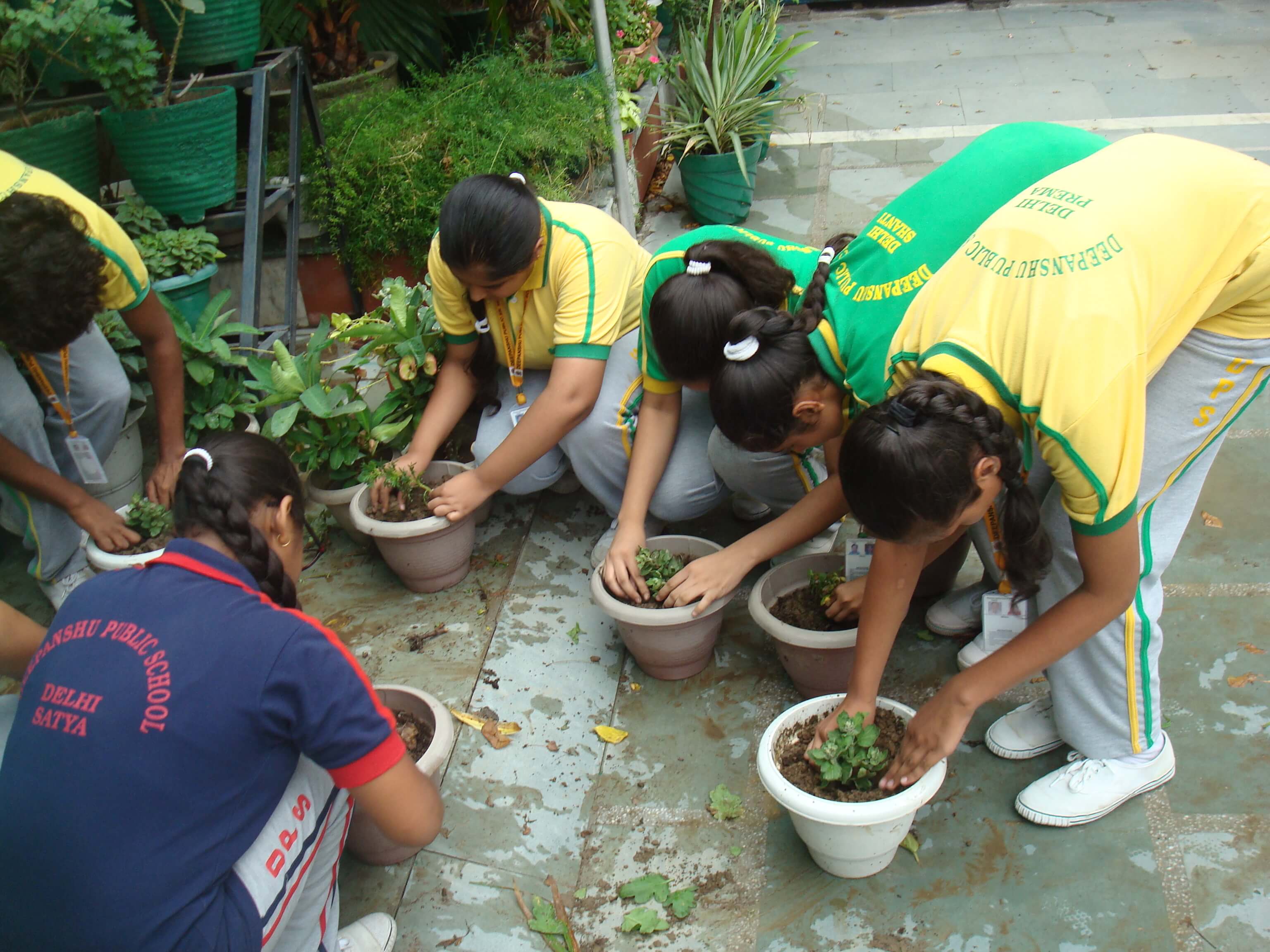 Deepanshu Public School campus photo 24 of 30 — Nangloi