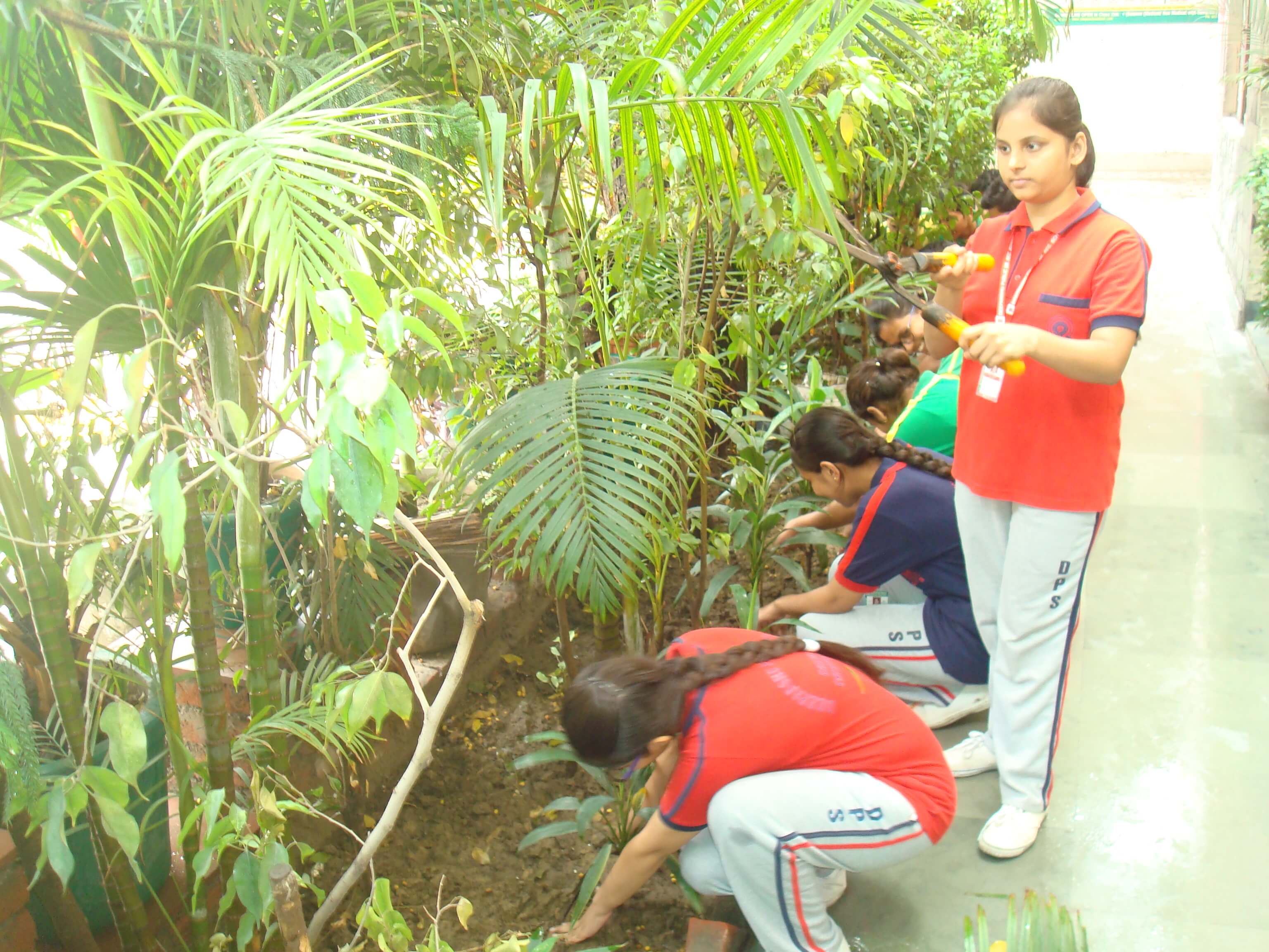 Deepanshu Public School campus photo 27 of 30 — Nangloi