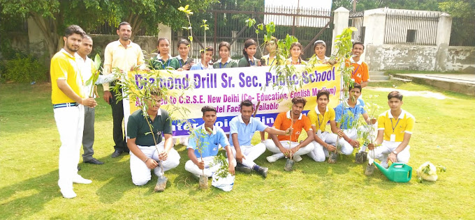 Diamond Drill Senior Secondary Public School campus photo 15 of 15 — Knowledge Park I