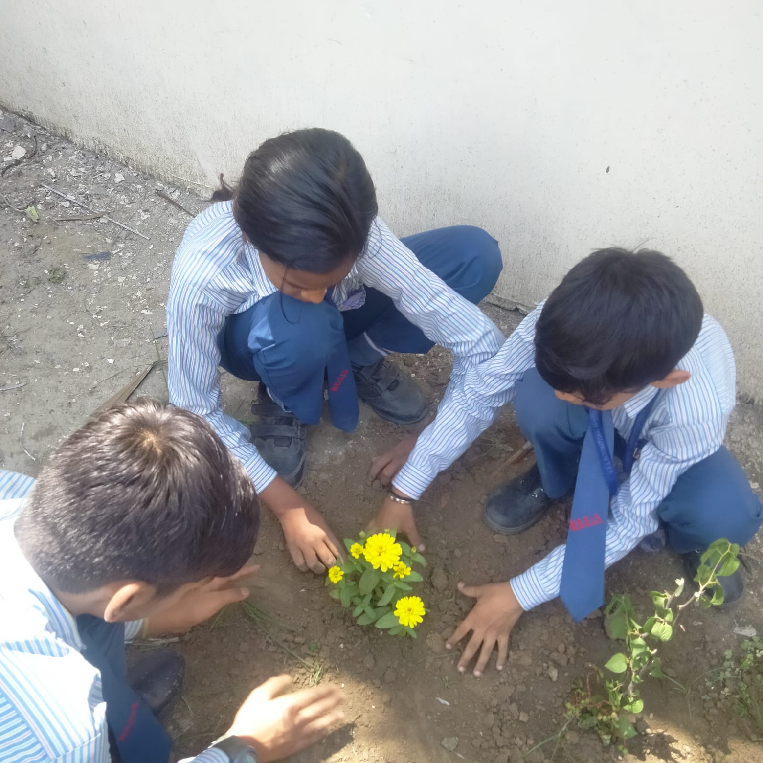 MBS International School campus photo 25 of 30 — Knowledge Park I