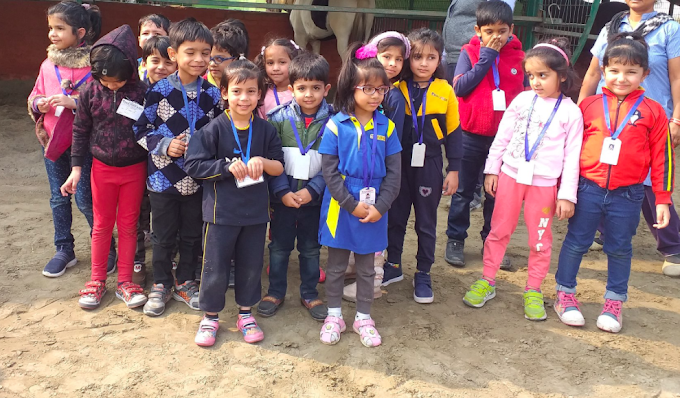 Dolphin Kids School campus photo 19 of 30 — Gamma I