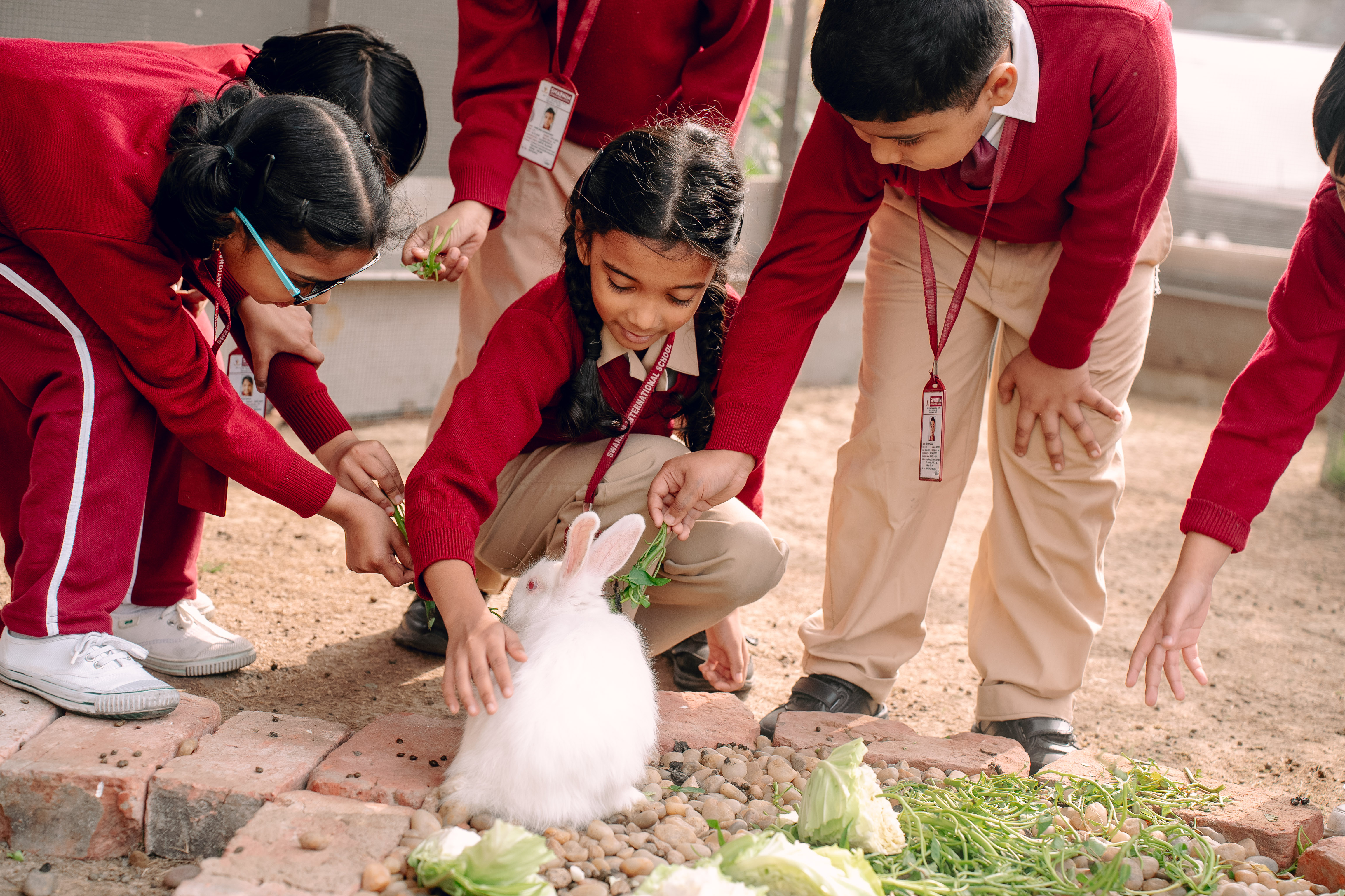 Swarnim International School - kolkata campus photo 5 of 19 — Harinavi