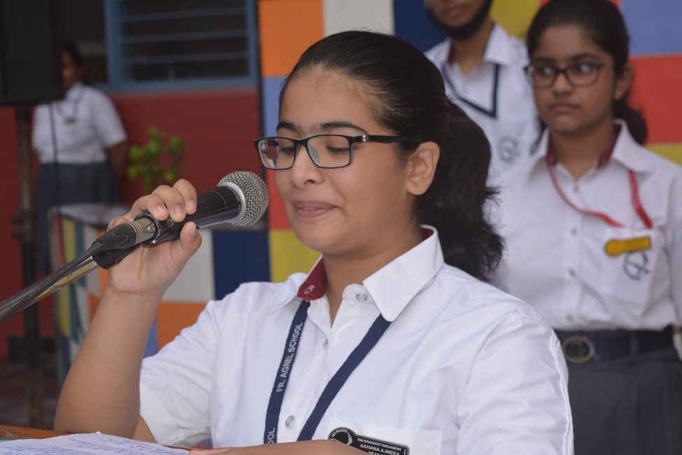 Fr. Agnel School campus photo 12 of 30 — Sector 62