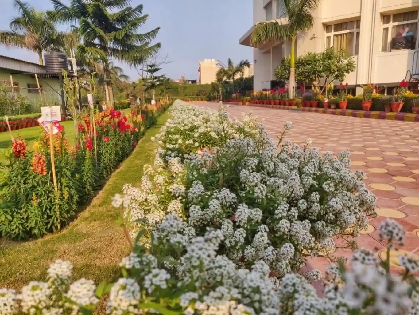 Raghav Global School campus photo 10 of 13 — Sector 122