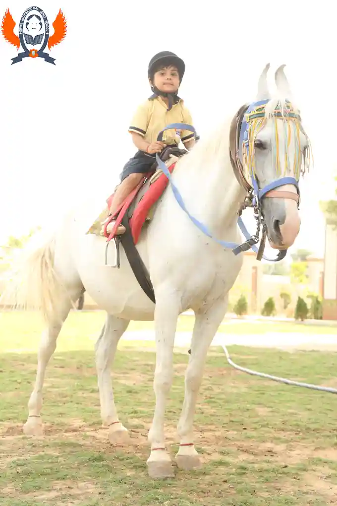 Divine International School campus photo 8 of 16 — Jhunjhunu