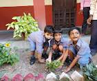 Mata Leelawanti Saraswati Vidya Mandir campus photo 8 of 8 — Hari Nagar