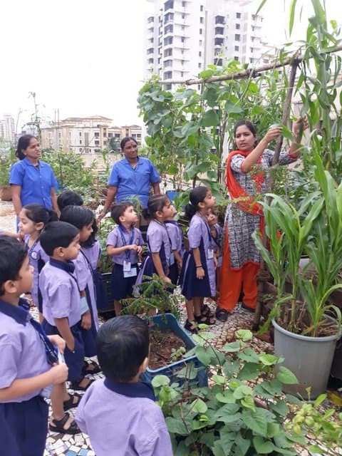 Nalanda Public School campus photo 2 of 11 — Kabir Nagar