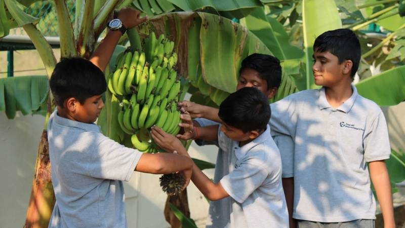 The Academic City School - Indore campus photo 18 of 25 — Indore