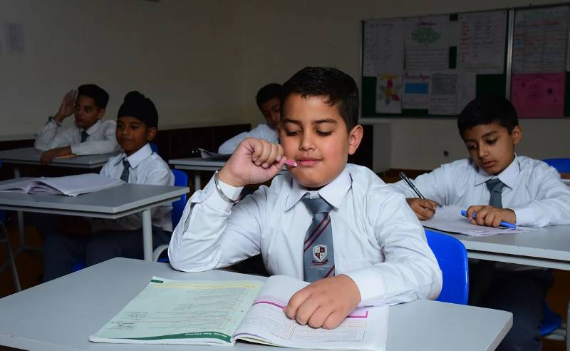 Alpenstock World School campus photo 22 of 28 — Pathankot