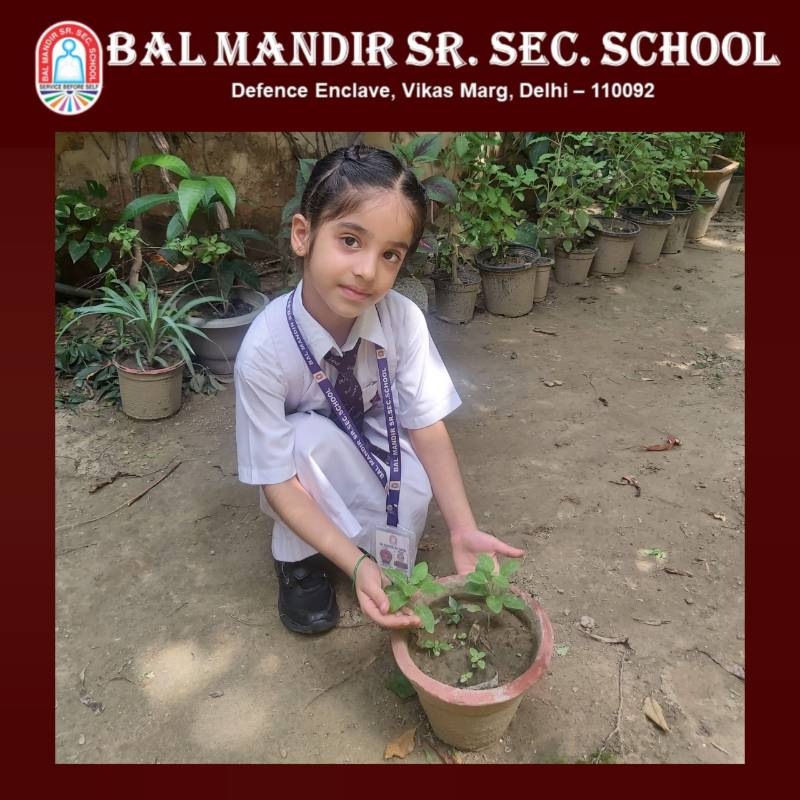 Bal Mandir Senior Secondary School campus photo 3 of 13 — Vikas Marg