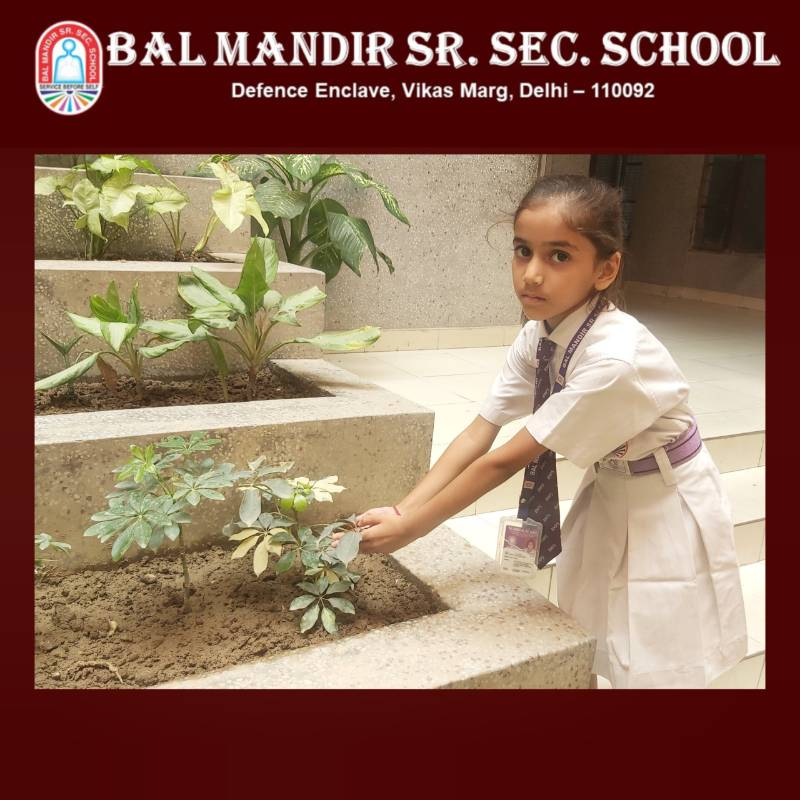 Bal Mandir Senior Secondary School campus photo 4 of 13 — Vikas Marg