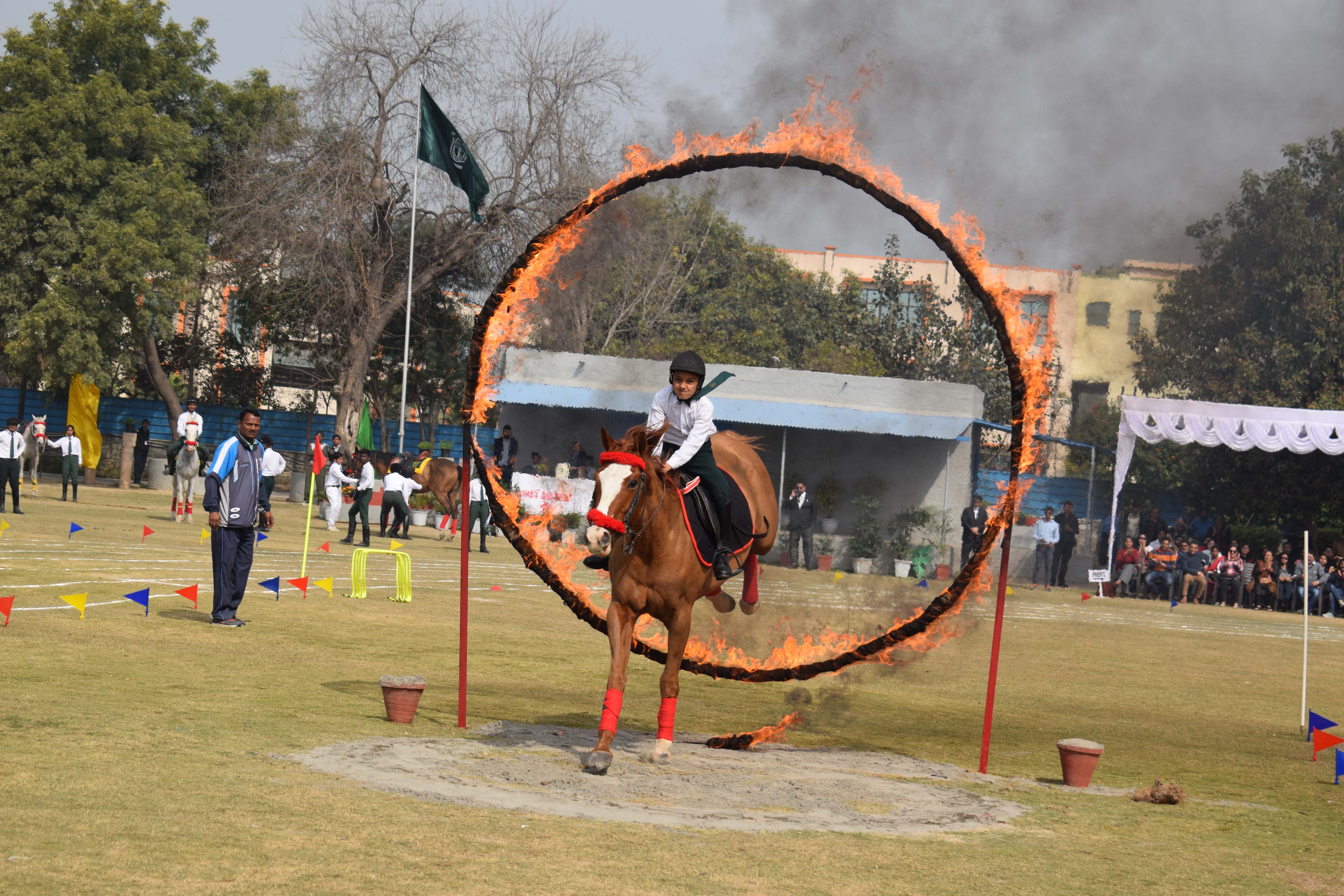 Delhi Public School campus photo 10 of 19 — Thana Darwaja