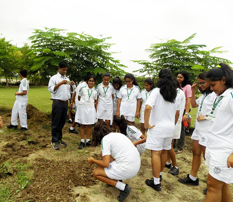 Delhi Public School campus photo 19 of 19 — Thana Darwaja
