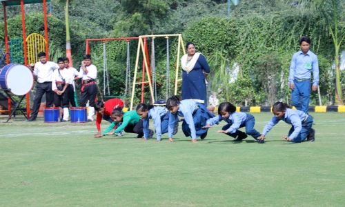 Daffodil Public School campus photo 6 of 15 — Narela