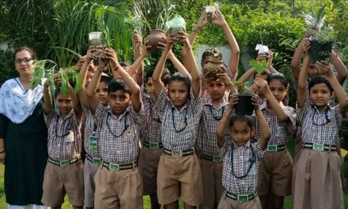 Daffodil Public School campus photo 7 of 15 — Narela