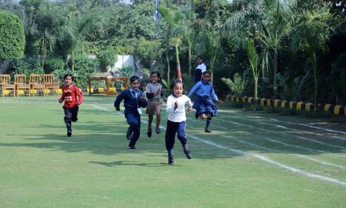 Daffodil Public School campus photo 10 of 15 — Narela